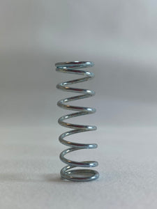 Air Valve Spring