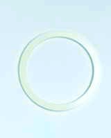 Cup Gasket (FC)